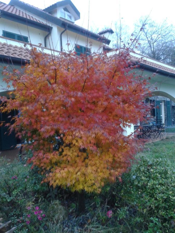 B&B Villa Paola Savona Exterior photo